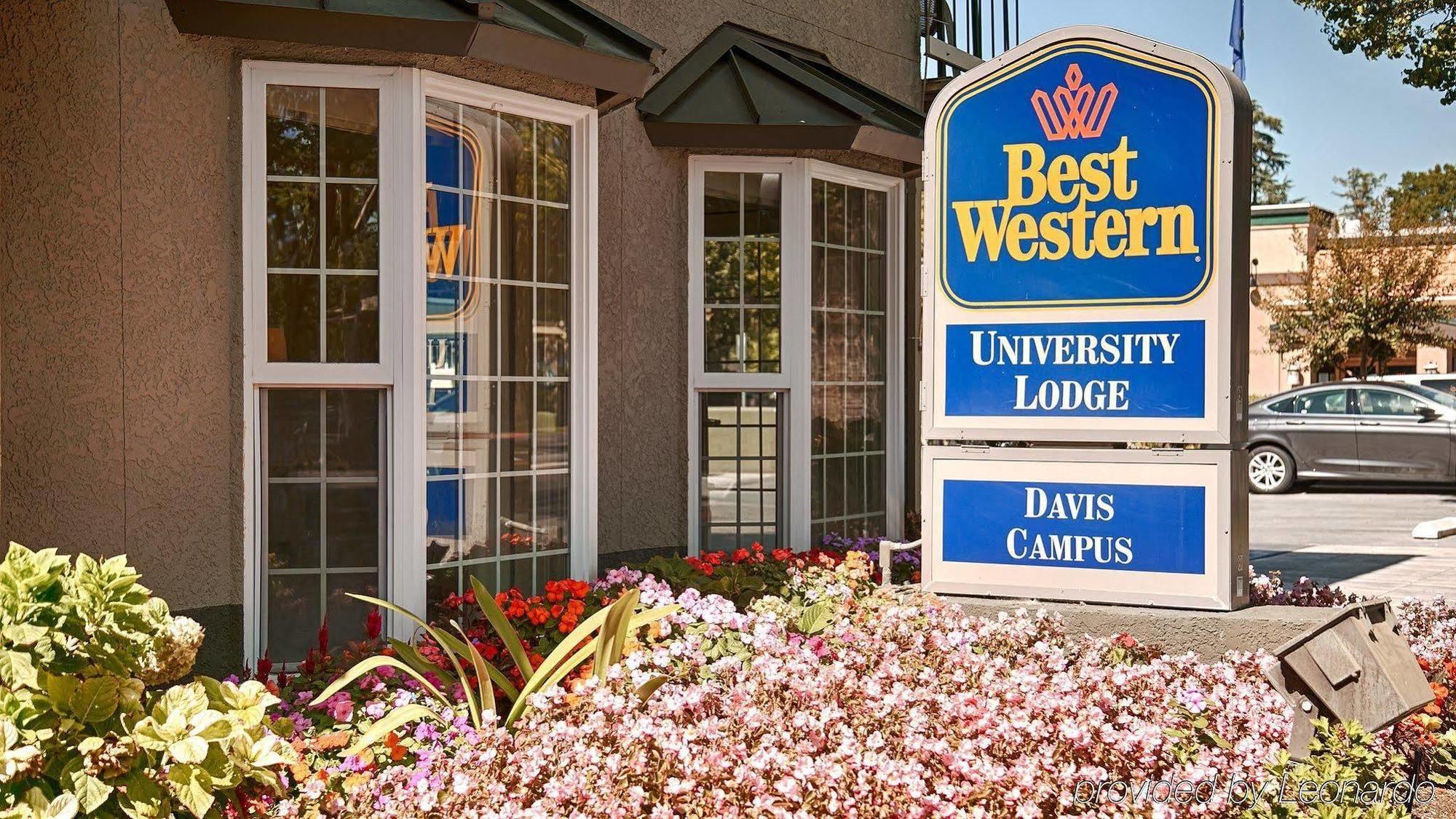 Best Western University Lodge Davis Exterior photo